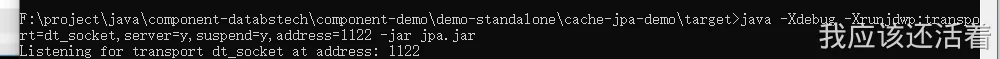 IDEA远程调试代码_4.png